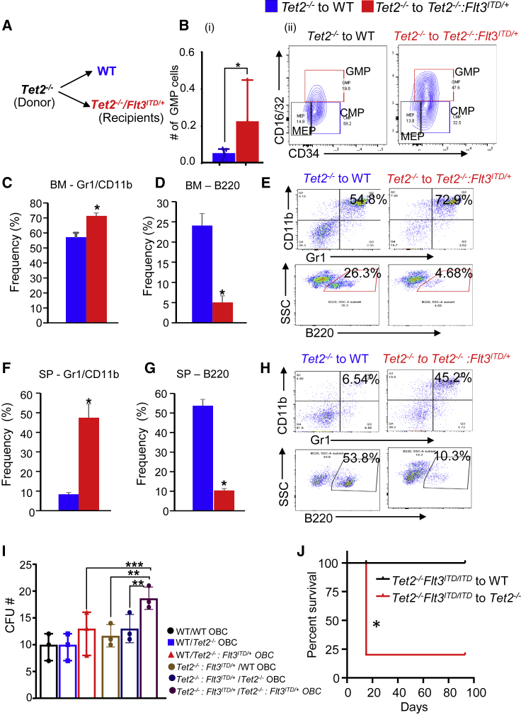 Figure 7