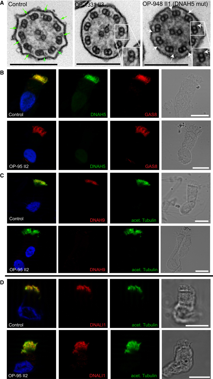 Figure 4