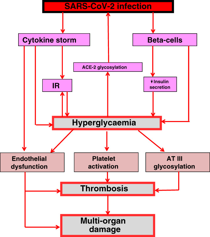 FIGURE 1