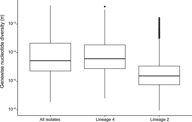 FIG 2 