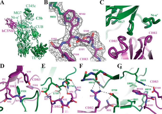 Figure 2.