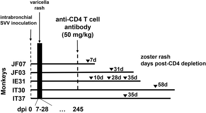 FIG 1