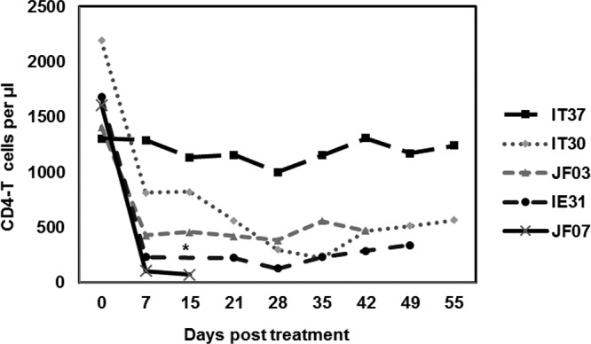 FIG 2