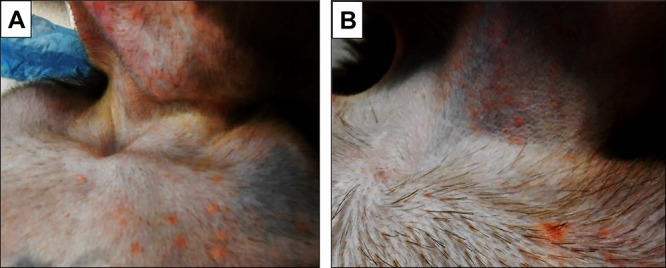 FIG 3