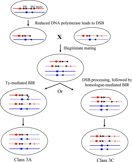 FIG. 6.