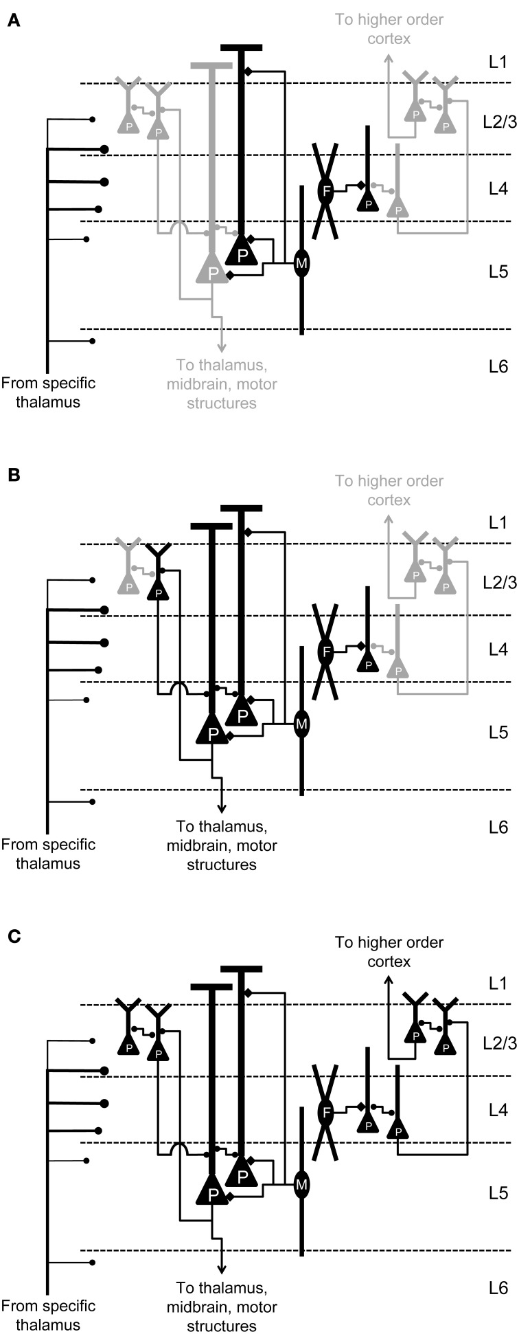 Figure 13