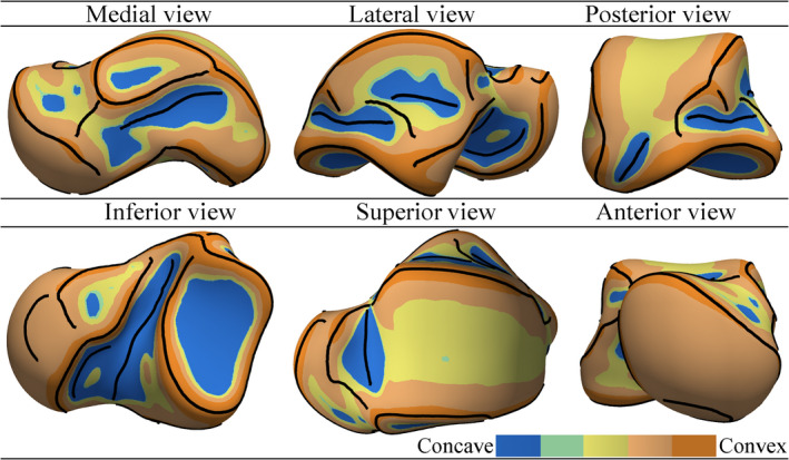 FIGURE 10