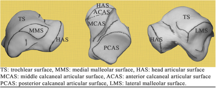 FIGURE 1