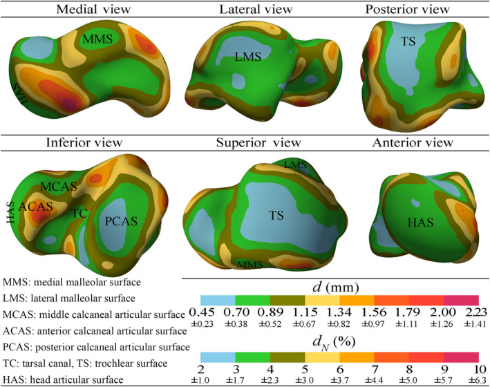 FIGURE 12