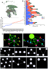 Figure 5