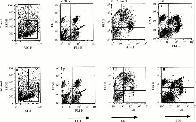 Figure 3  