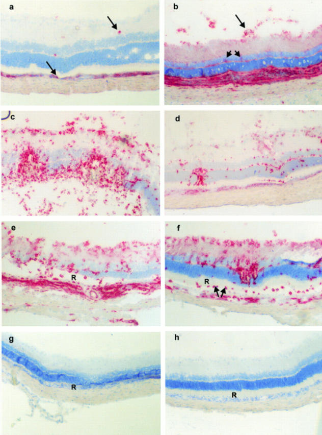 Figure 2  