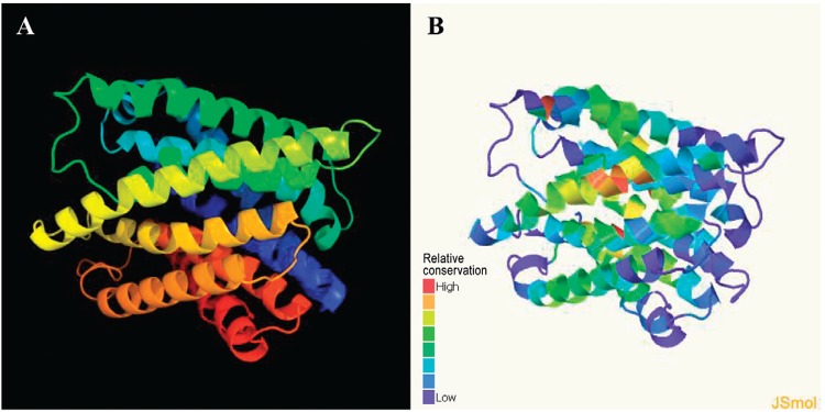 Fig. 1: