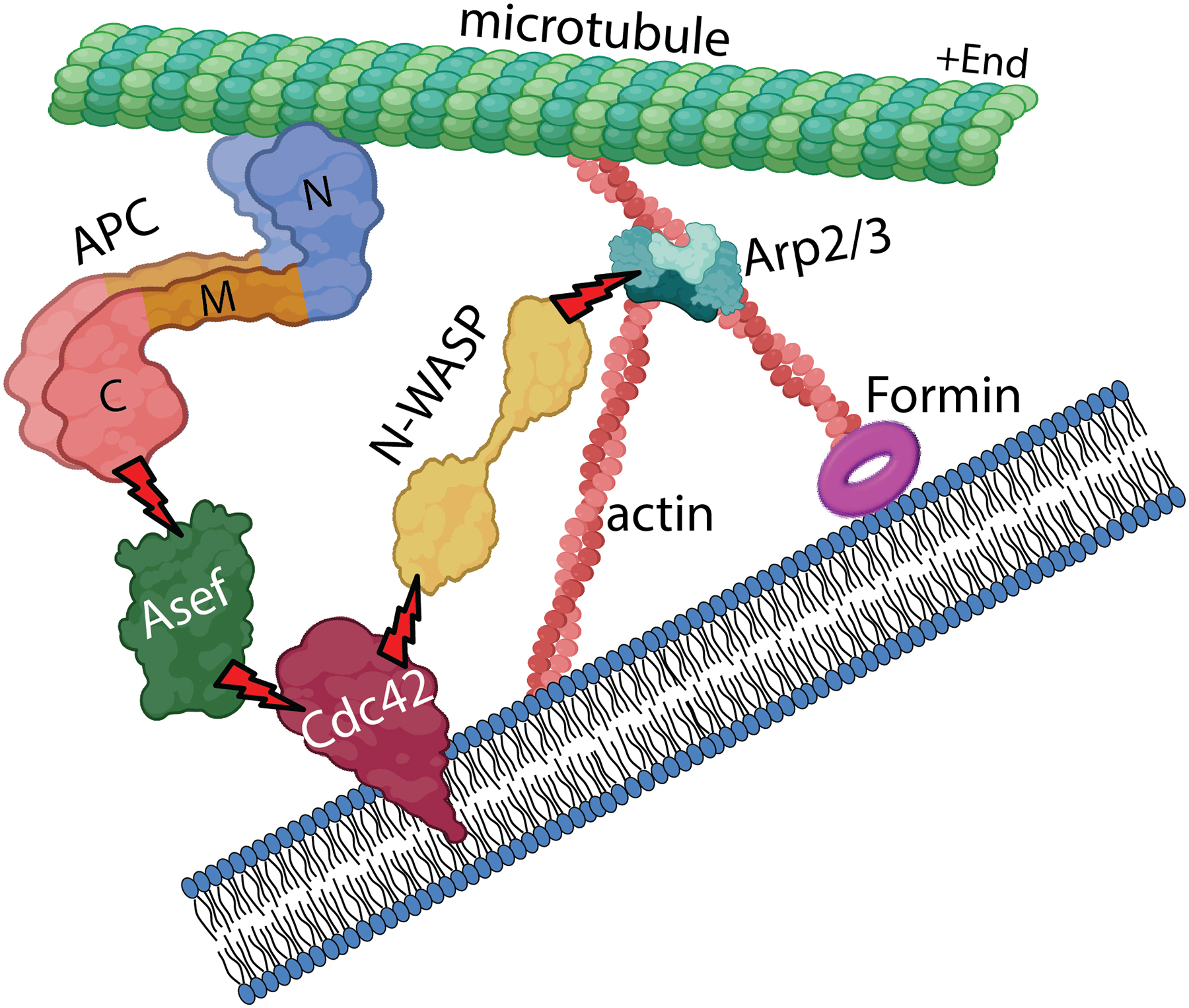 Figure 3.