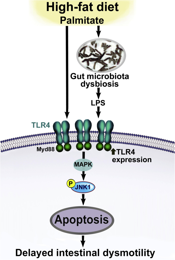 Figure 7