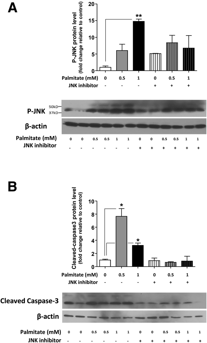 Figure 5