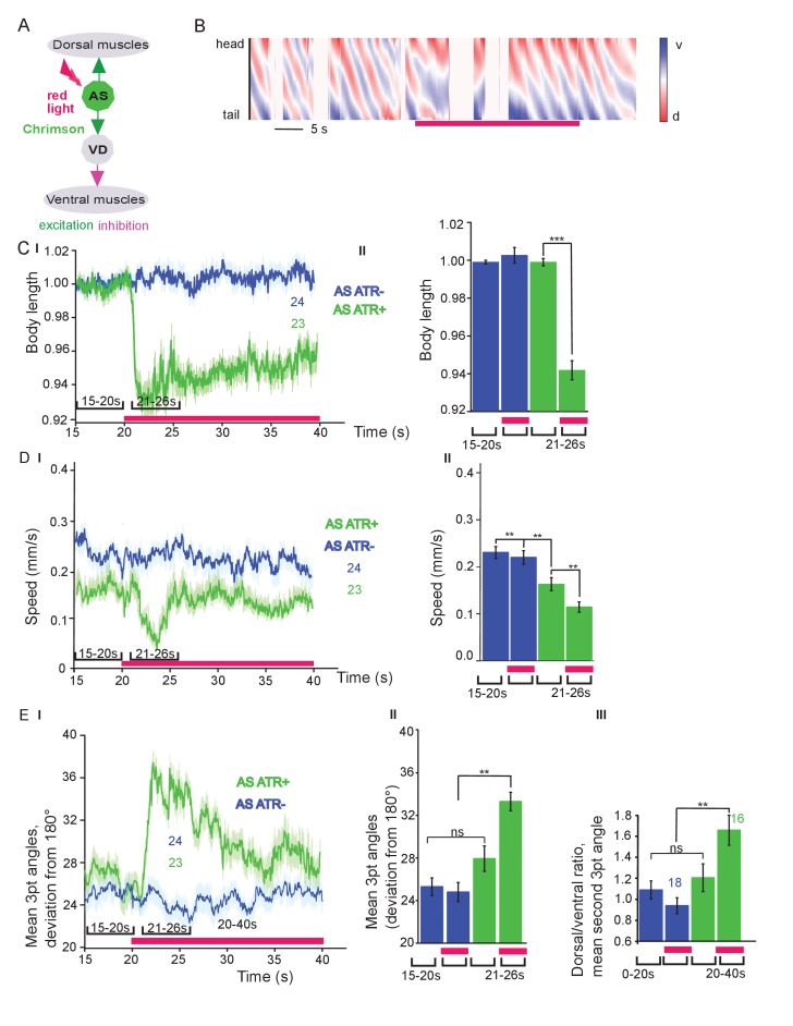 Figure 1—figure supplement 3.