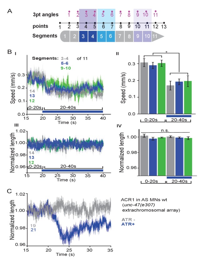 Figure 4—figure supplement 1.