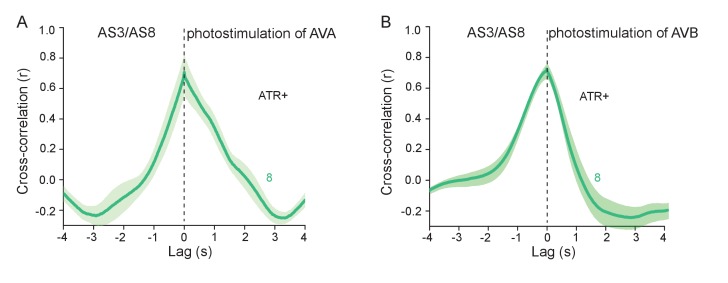 Figure 6—figure supplement 1.