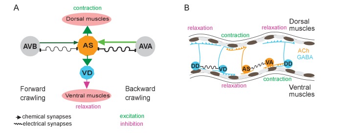 Figure 7.