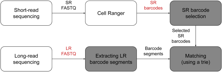 Figure 2