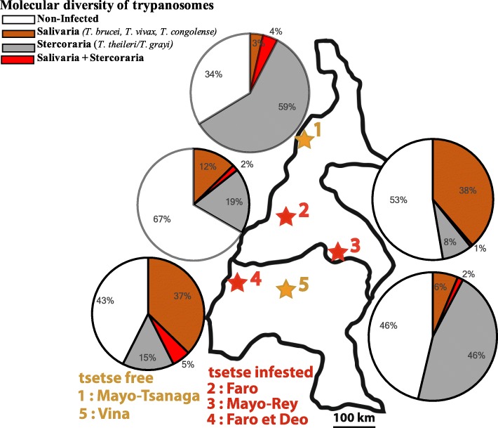 Fig. 4