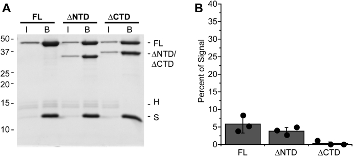 Figure 7