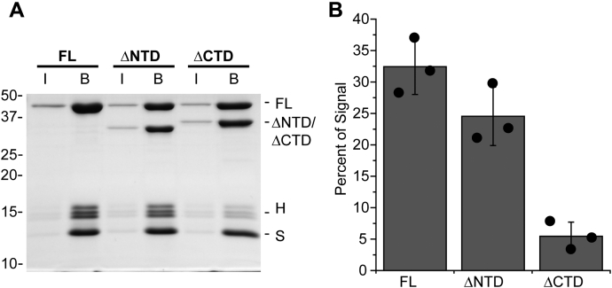 Figure 5