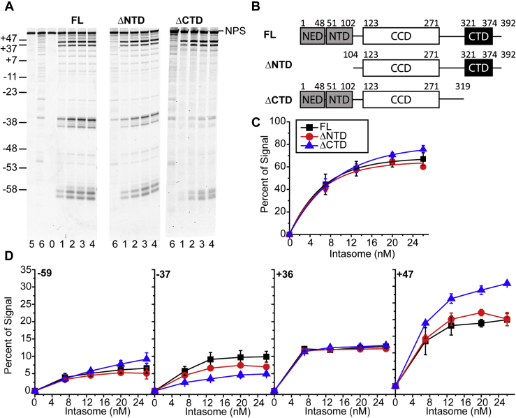 Figure 4