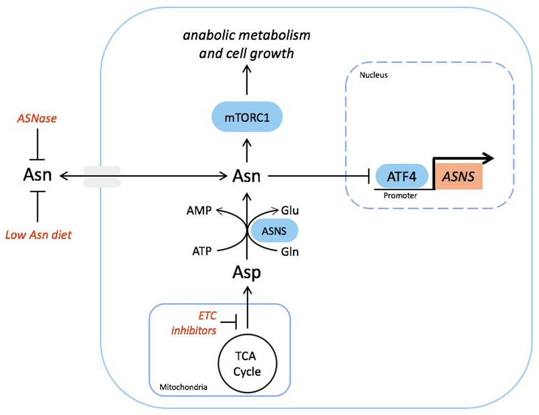 Figure 7.