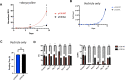 Figure 6—figure supplement 1.