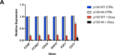 Figure 7—figure supplement 1.