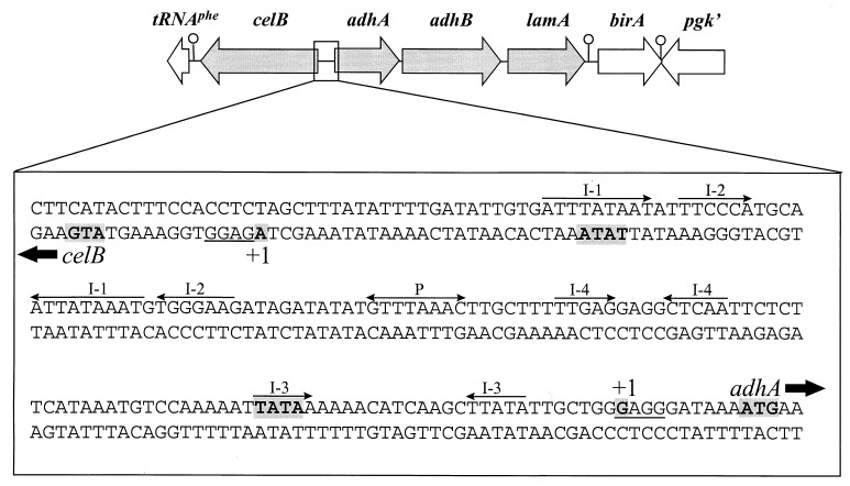 FIG. 6