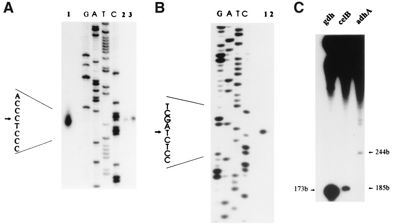 FIG. 5