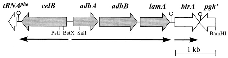 FIG. 1