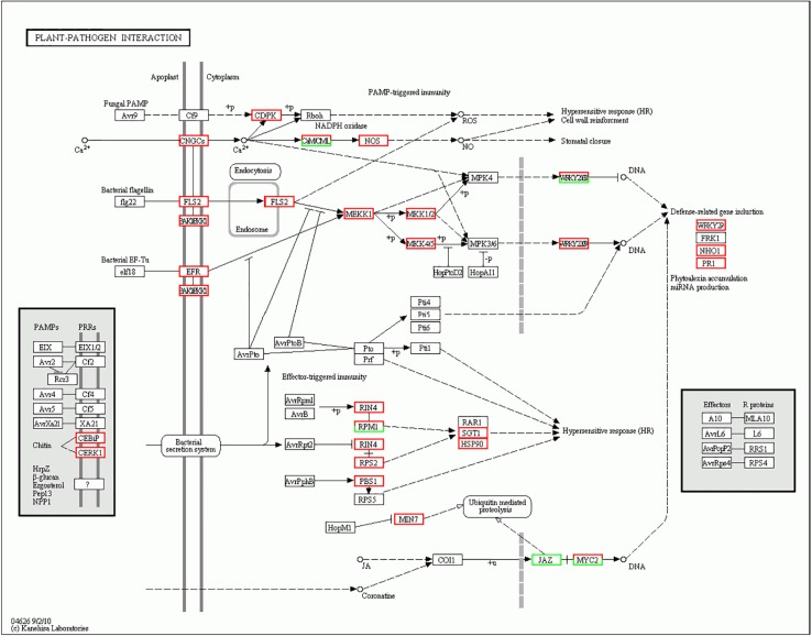 Fig 4