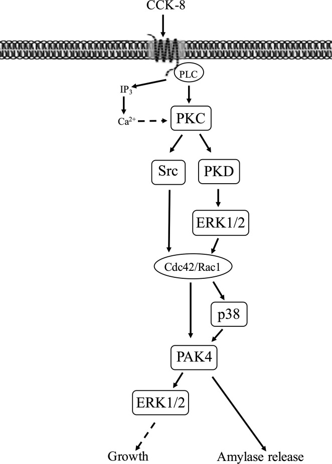 Fig. 13.