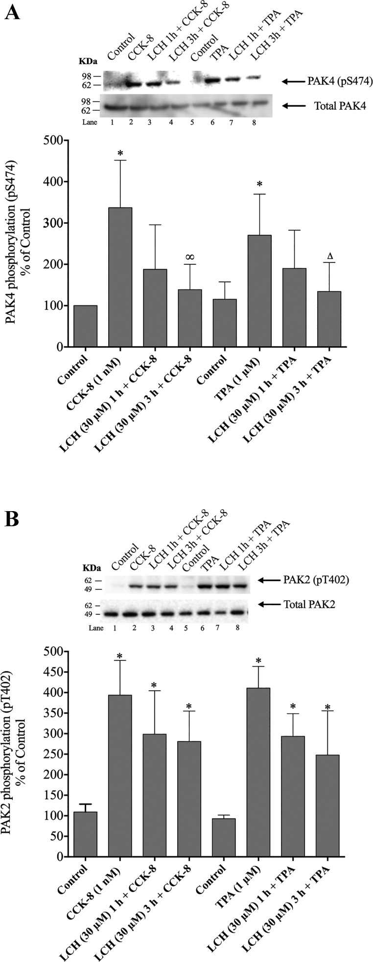 Fig. 9.