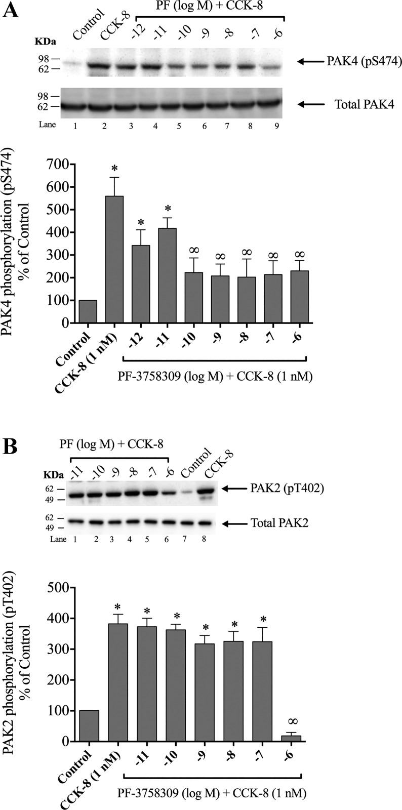 Fig. 8.