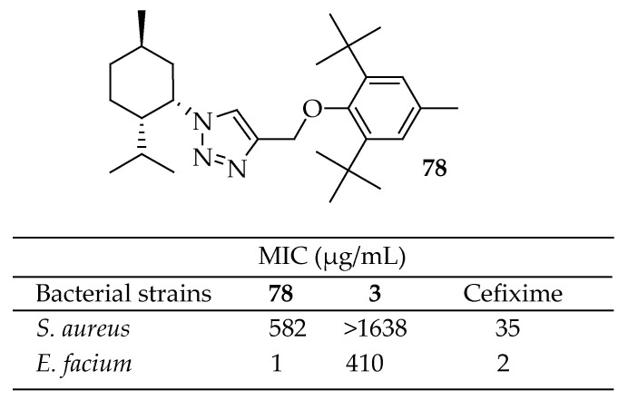 Figure 28