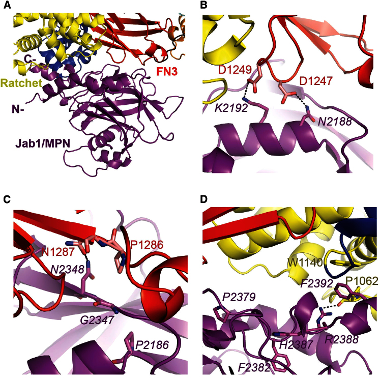 Figure 2