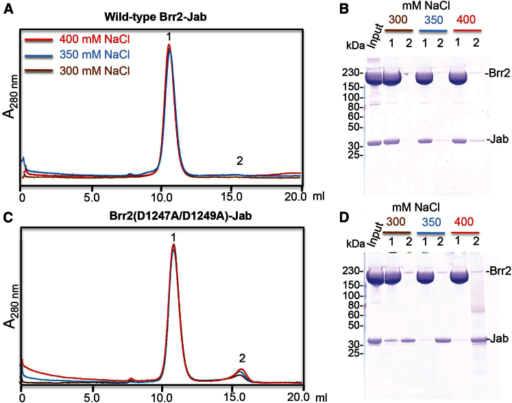Figure 3