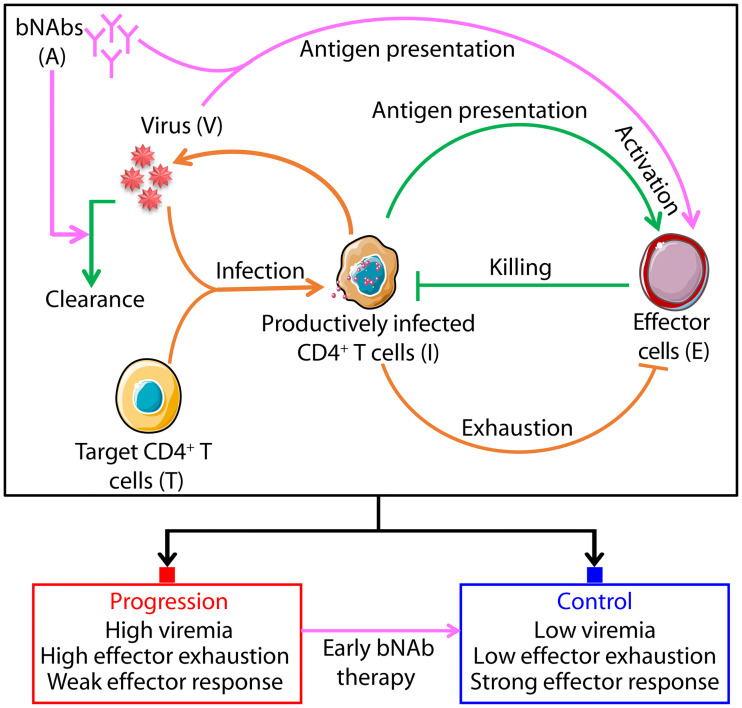 Fig 1