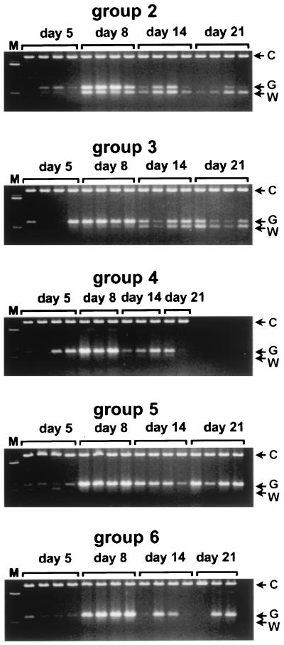 FIG. 3