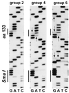 FIG. 4