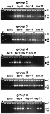 FIG. 3