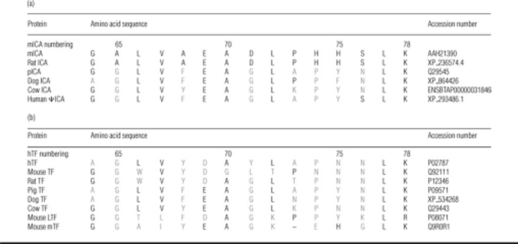 graphic file with name bic333i007.jpg