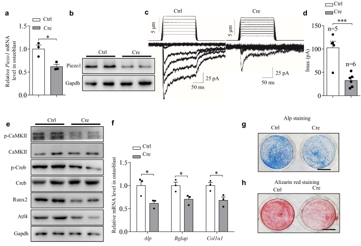 Figure 2—figure supplement 1.