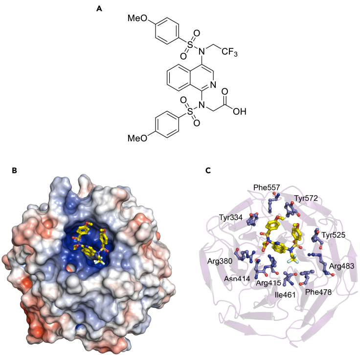 Figure 1