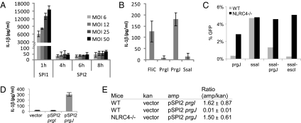 Fig. 4.